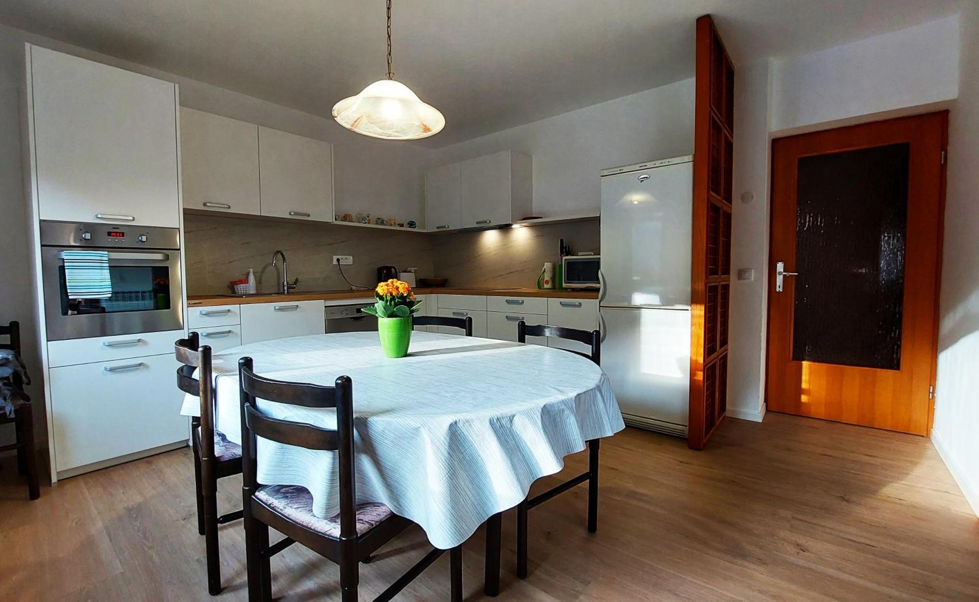 Apartma Mika Most Na Soci Luaran gambar